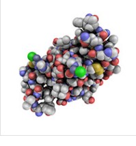 Glucotrust7